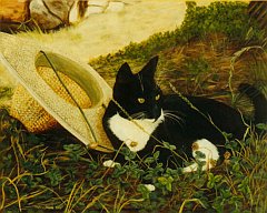 Gatti (349)